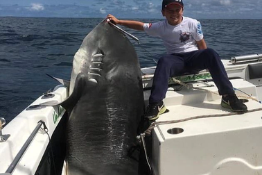 Nhóc 8 tuổi câu được cá mập "khủng" nặng 314 kg, phá kỷ lục thế giới