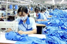 Hỗ trợ đào tạo nghề, giải quyết việc làm cho lao động bị thu hồi đất