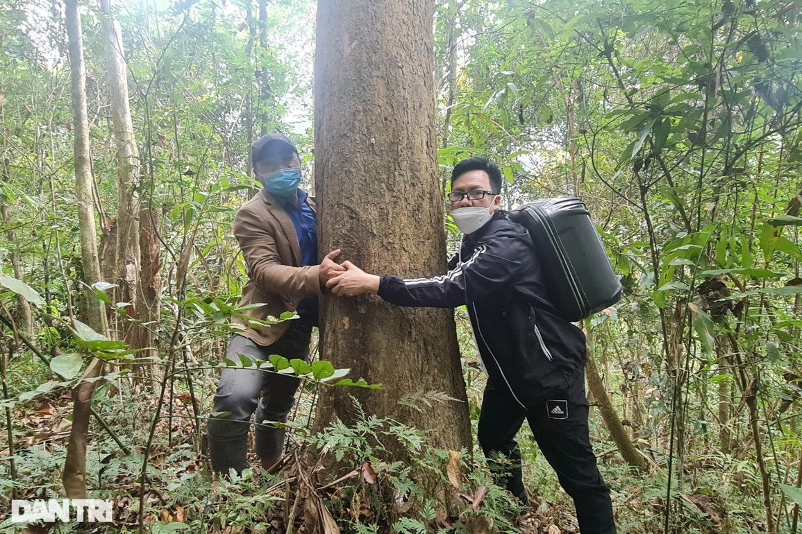 Già làng và câu chuyện bảo vệ báu vật nơi đại ngàn - 4 Già làng và câu chuyện bảo vệ báu vật nơi đại ngàn - 4