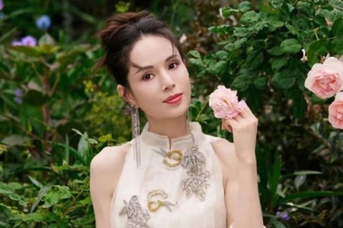 "Tiểu Long Nữ" Lý Nhược Đồng bị nghi dùng hộ chiếu giả vì... quá trẻ