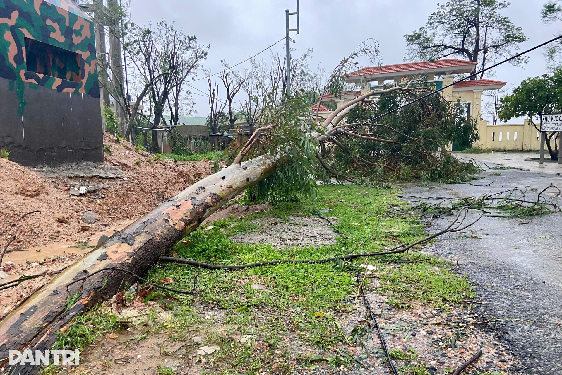 Cảnh đổ nát sau khi bão Bualoi quần thảo qua miền Trung - 9 Cảnh đổ nát sau khi bão Bualoi quần thảo qua miền Trung - 9