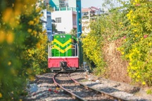 TPHCM đã có 5km đường hoa chạy dọc tuyến đường sắt nội đô