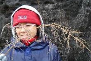 Sapa: Băng xuất hiện trên núi Hàm Rồng