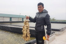 Chàng trai 8X nuôi con nhỏ li ti, thu tiền tỷ mỗi năm