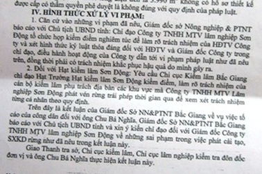 Vụ công ty lâm nghiệp phá rừng tại Bắc Giang: Sở Nông nghiệp chuyển Sở Nội vụ xử lý