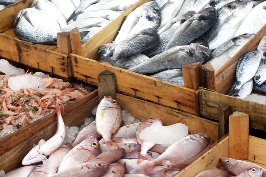 PHOTO-Fish%20at%20market-020316-Shutterstock%20-%201125x534%20-%20Landscape-edited.jpeg PHOTO-Fish%20at%20market-020316-Shutterstock%20-%201125x534%20-%20Landscape-edited.jpeg