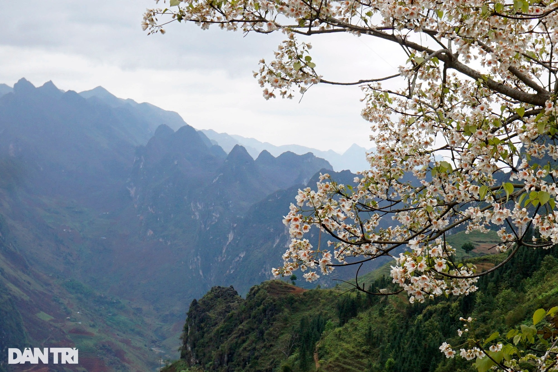 Hà Giang bốn mùa hoang dã - 5