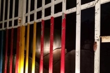 Phát hiện người đàn ông tử vong trong khu mộ cổ tại Bình Dương