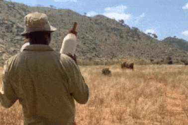 Kỳ thú hình ảnh voi... “bú bình”