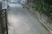 Tình huống nguy hiểm với bé gái nhưng ai xem cũng phì cười