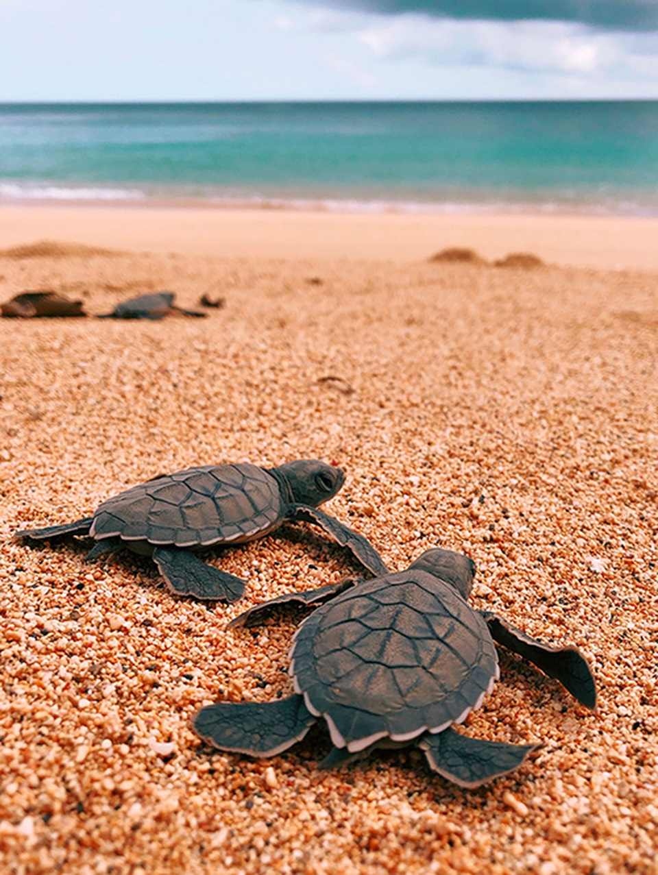 Phiêu lưu tới nơi “chạm” vào đường xích đạo - 8 Phiêu lưu tới nơi “chạm” vào đường xích đạo - 8