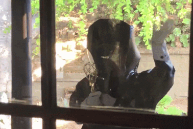 Đoạn clip cho thấy sự thay đổi lạ lùng của năm 2020