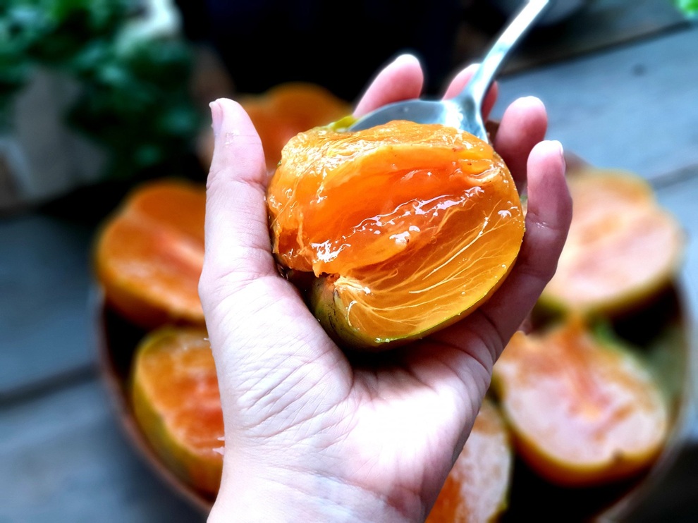 Quả hồng da tre có ruột lòng đào trứng gà, mỗi năm thu hoạch một lần - 4 Quả hồng da tre có ruột lòng đào trứng gà, mỗi năm thu hoạch một lần - 4