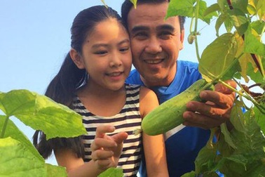 Đọ hai vườn rau sạch trong biệt thự triệu đô của hai ông bố chiều con nhất nhì Vbiz