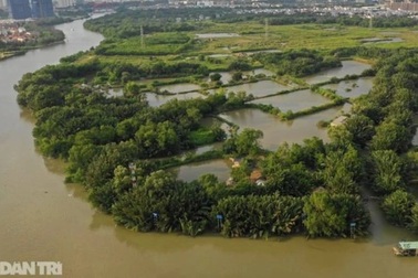 Không khởi tố vụ Quốc Cường Gia Lai bị tố chiếm đoạt gần 2.900 tỷ đồng