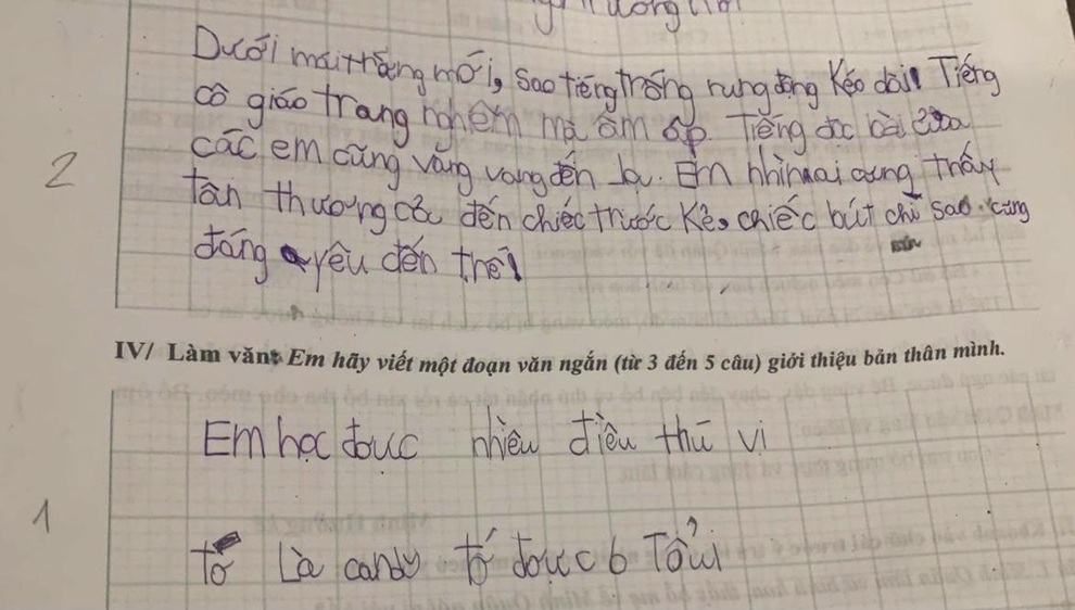 Những bài văn gây sốt mạng vì sự thật thà - 2 Những bài văn gây sốt mạng vì sự thật thà - 2