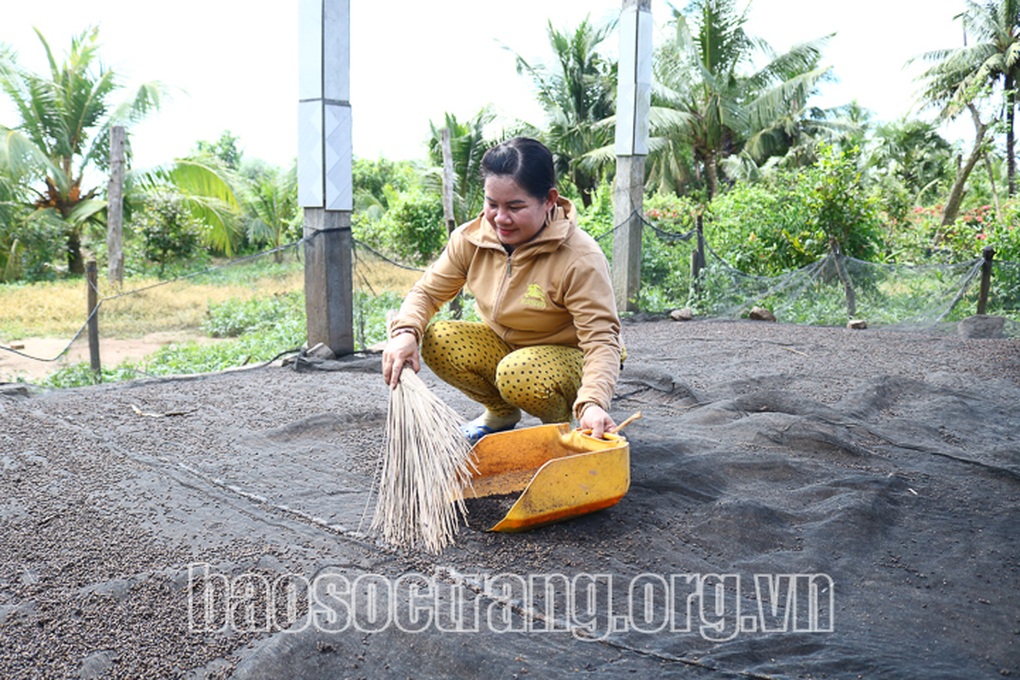 Nuôi đàn thú ngủ trên trời, nông dân hứng phân mà bán đắt tiền - 1 Nuôi đàn thú ngủ trên trời, nông dân hứng phân mà bán đắt tiền - 1