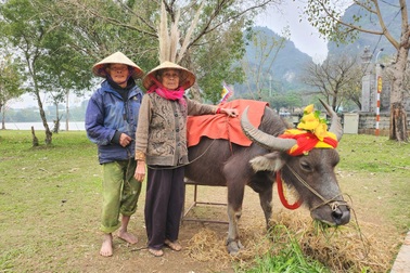 Nghề độc lạ giúp vợ chồng 80 tuổi "sống khỏe", chưa cần nhờ con cháu