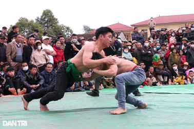 Đầu Xuân xem "dân cày" tranh tài đấu vật