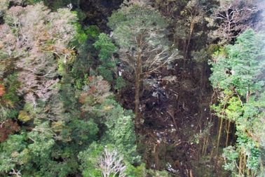 Indonesia công bố hình ảnh đầu tiên về hiện trường tai nạn máy bay