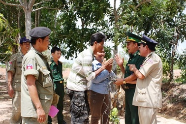 Chặn đứng đường dây trộm trâu bò xuyên biên giới