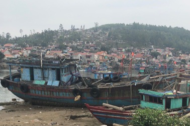 Thanh Hóa chỉ đạo khẩn việc hàng trăm tàu thuyền “phơi xác” trên bờ
