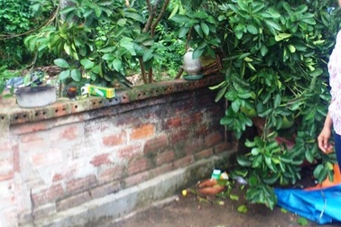 Bố tử vong sau khi xô xát với con trai