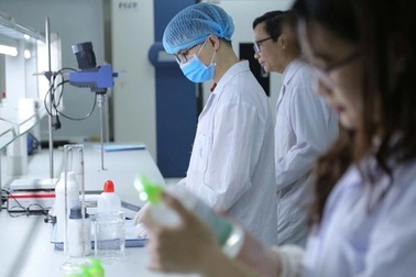 Tích hợp nhiều ngành đại học, mở ra ngành học mới "chưa từng có"