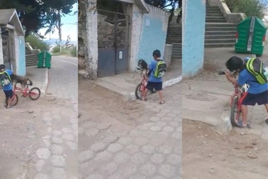 Xúc động khoảnh khắc cậu bé đeo khẩu trang cho cún cưng