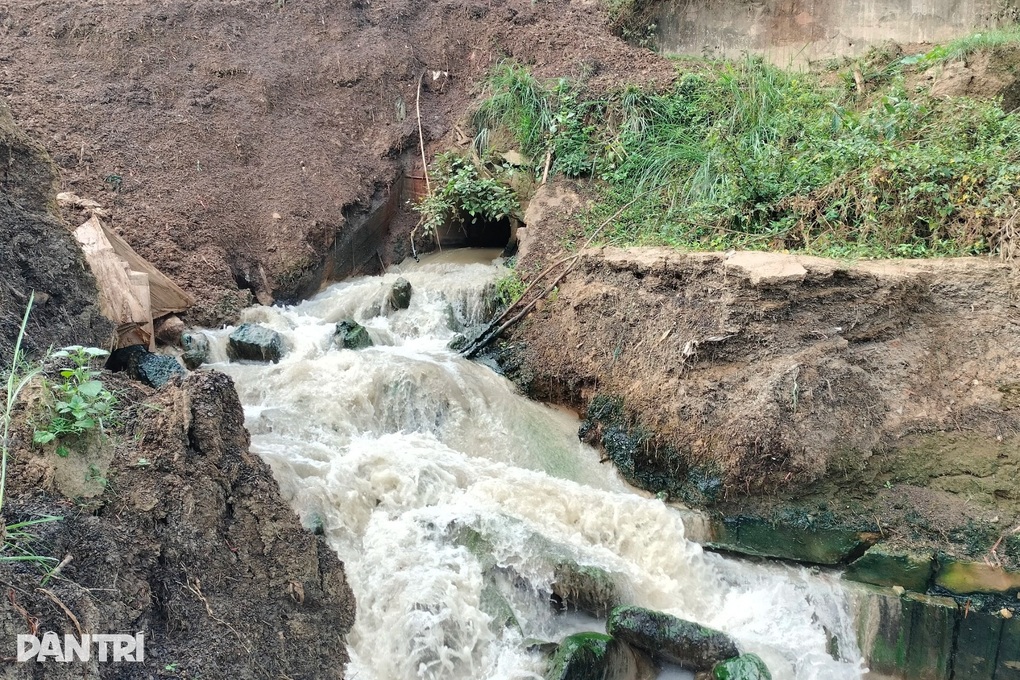 Khúc sông Hồng đen kịt, bốc mùi vì nước thải của nhà máy sắn - 3