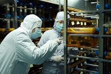 Số người chết tăng vọt, thế giới cấp tập tìm vắc xin chống dịch corona