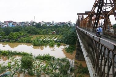 Bãi giữa sông Hồng mùa nước ngập