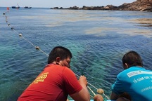 Thả, đặt phao tiêu bảo vệ 4 khu vực biển vịnh Quy Nhơn