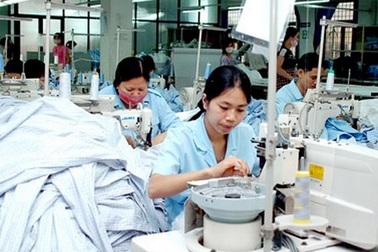 Việt Nam có trên 50 triệu người trong độ tuổi lao động