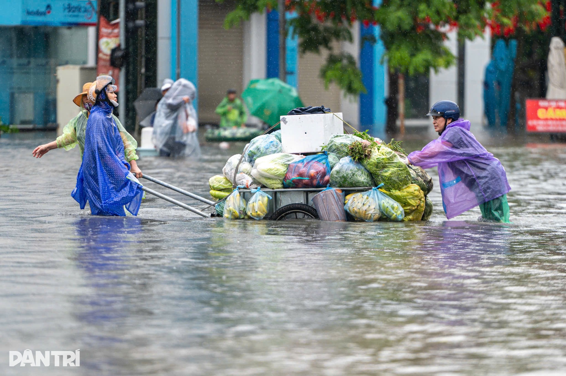 Người và xe bơi trong dòng nước ngập sâu ở Hà Nội - 14 Người và xe bơi trong dòng nước ngập sâu ở Hà Nội - 14