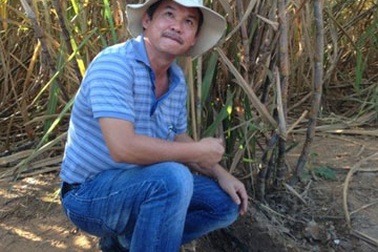 Từ thịt bò Úc đến đường của bầu Đức