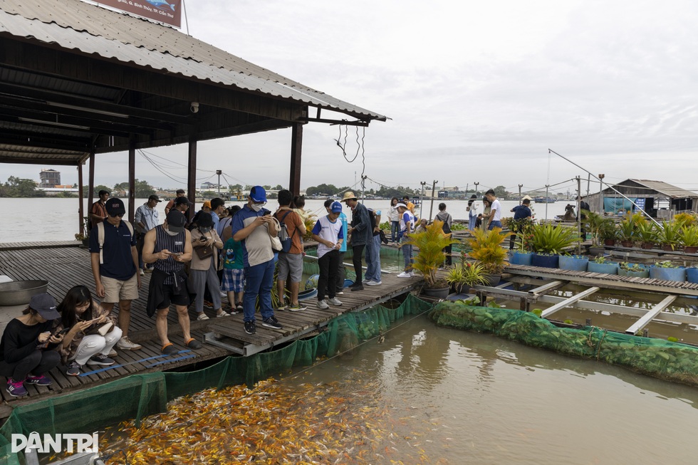 Tỷ phú Anh thăm tỷ phú Việt: Cuộc gặp bất ngờ với ông chủ CLB Tottenham - 4 Tỷ phú Anh thăm tỷ phú Việt: Cuộc gặp bất ngờ với ông chủ CLB Tottenham - 4