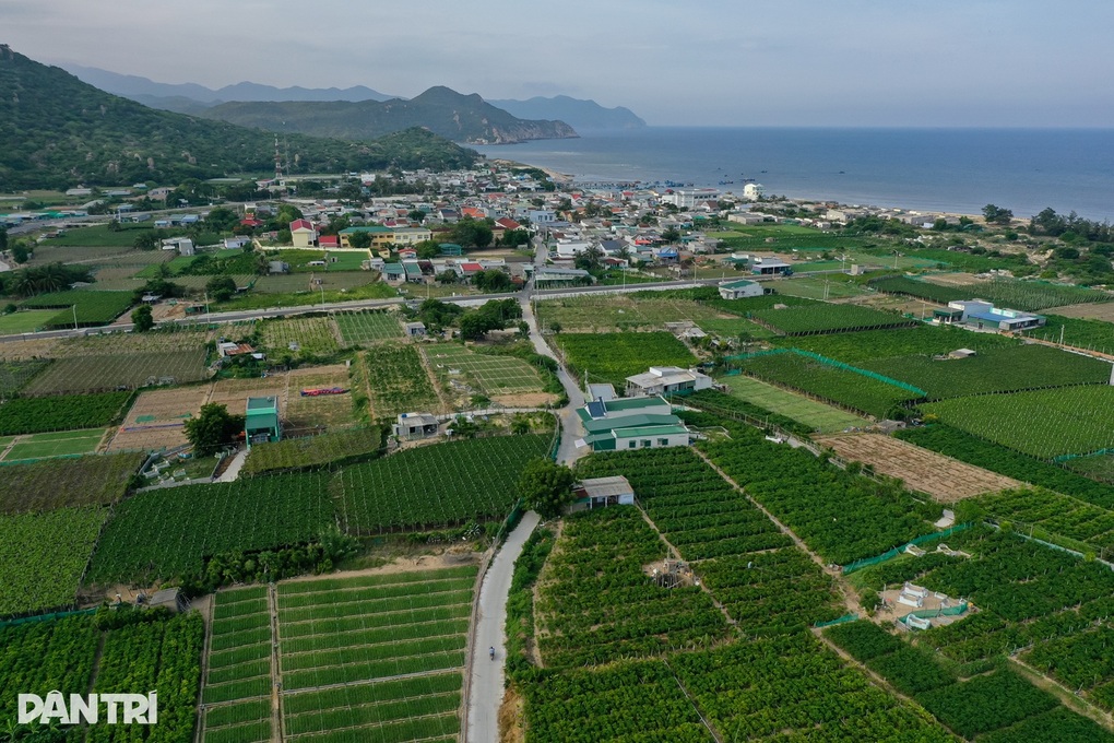 12.390 tỷ đồng di dân tái định cư làm dự án điện hạt nhân Ninh Thuận 1 - 1 12.390 tỷ đồng di dân tái định cư làm dự án điện hạt nhân Ninh Thuận 1 - 1