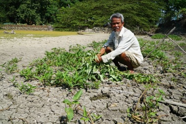 Nắng cháy da, ruộng khô, hồ cạn!