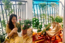 Nữ trưởng phòng cải tạo ban công 3m2 thành vườn rau xanh giữa mùa dịch