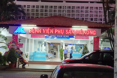 TPHCM: Bắt nữ chấp hành viên thi hành án nhận hối lộ 350 triệu đồng