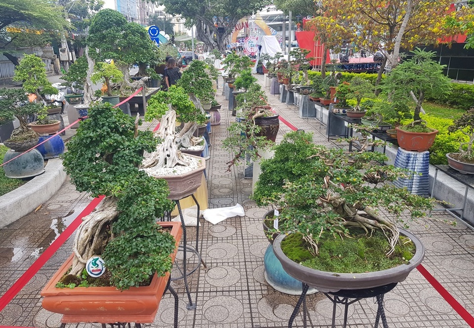 Nha Trang: Công viên bờ biển ngập sắc hoa, người dân náo nức du xuân sớm - 1 Nha Trang: Công viên bờ biển ngập sắc hoa, người dân náo nức du xuân sớm - 1