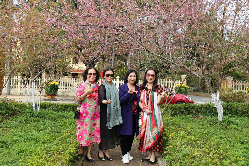 Dòng người ùn ùn đổ về ngắm hoa mai anh đào nhuộm hồng Măng Đen - 7 Dòng người ùn ùn đổ về ngắm hoa mai anh đào nhuộm hồng Măng Đen - 7
