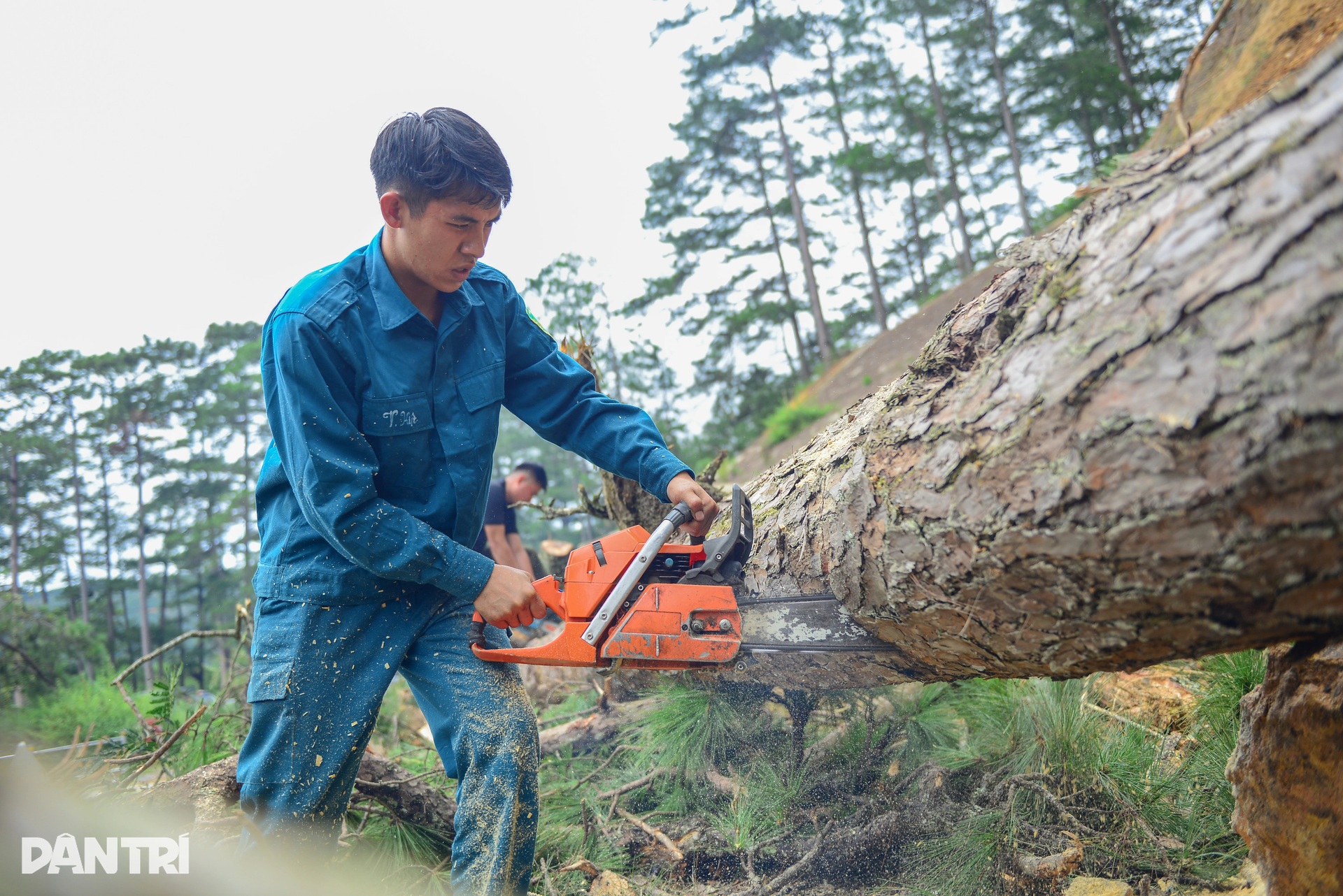 Đèo nối Đà Lạt với vùng biển Khánh Hòa sạt lở, mặt đường rạn nứt - 7 Đèo nối Đà Lạt với vùng biển Khánh Hòa sạt lở, mặt đường rạn nứt - 7