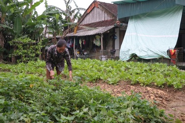 Cô giáo nhận lương hưu 1,3 triệu đồng/tháng về làm phụ bếp