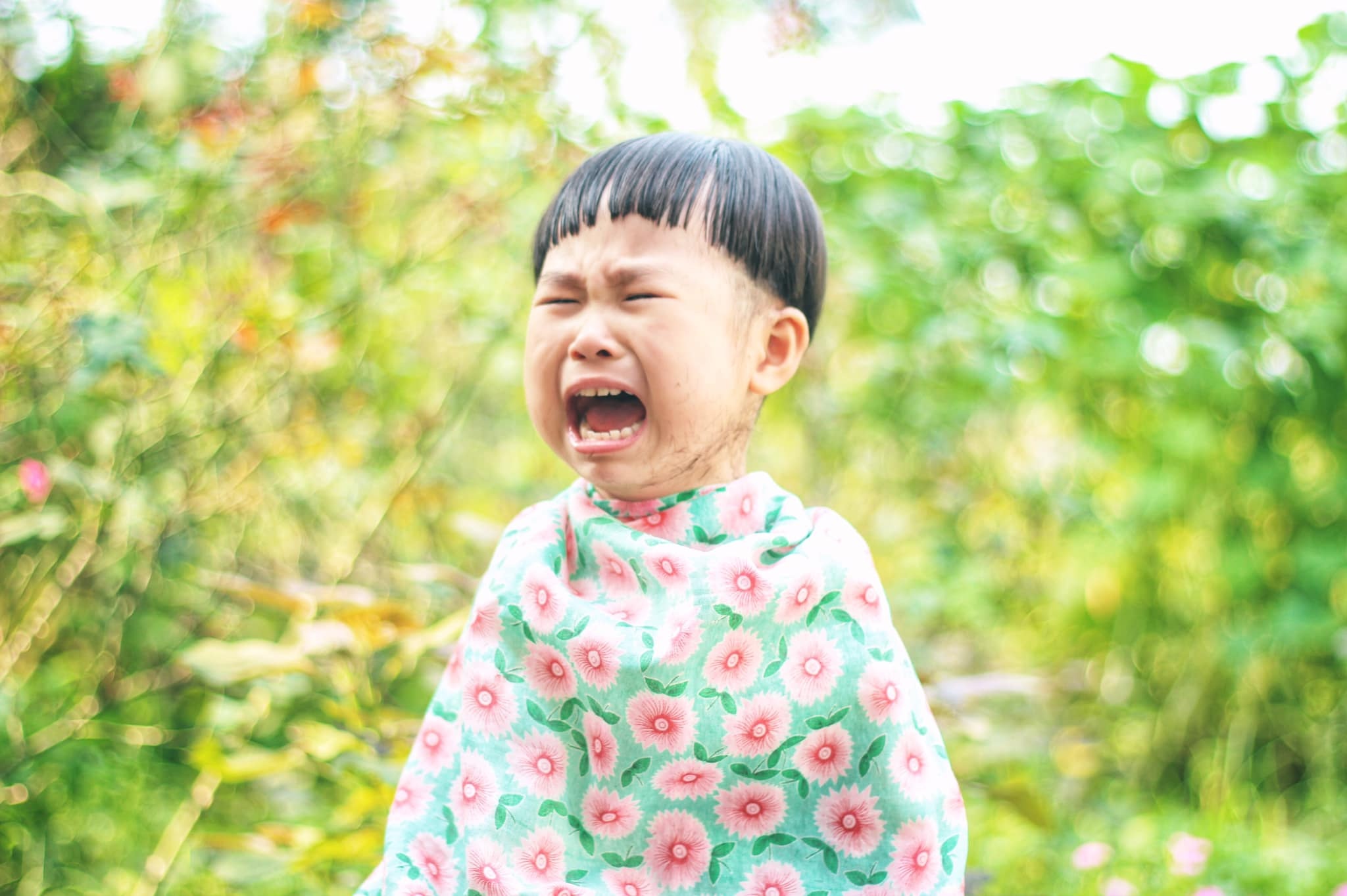 Biểu cảm cực đáng yêu của cô bé 3 tuổi cắt tóc bát úp - 7