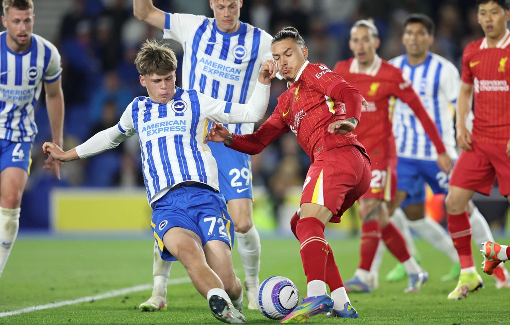 Brighton hạ gục Liverpool sau màn rượt đuổi tỷ số nghẹt thở - 1 Brighton hạ gục Liverpool sau màn rượt đuổi tỷ số nghẹt thở - 1