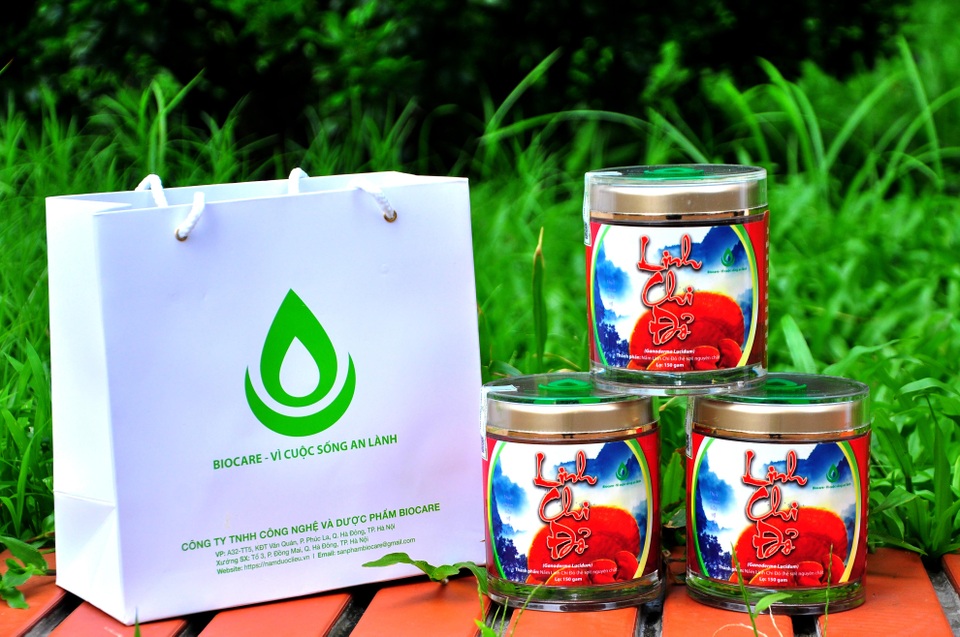 Tác dụng sức khỏe ít người biết của nấm Linh Chi đỏ hệ sợi - 3 Tác dụng sức khỏe ít người biết của nấm Linh Chi đỏ hệ sợi - 3