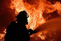 Tình nguyện viên chữa cháy đốt nhà... cho vui