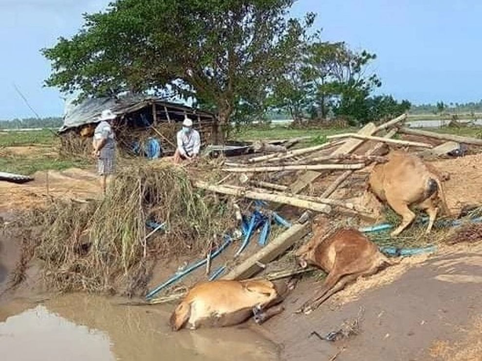 Hãy cùng Dân trí tiếp sức ủng hộ đồng bào gượng dậy sau trận lũ lịch sử - 6 Hãy cùng Dân trí tiếp sức ủng hộ đồng bào gượng dậy sau trận lũ lịch sử - 6